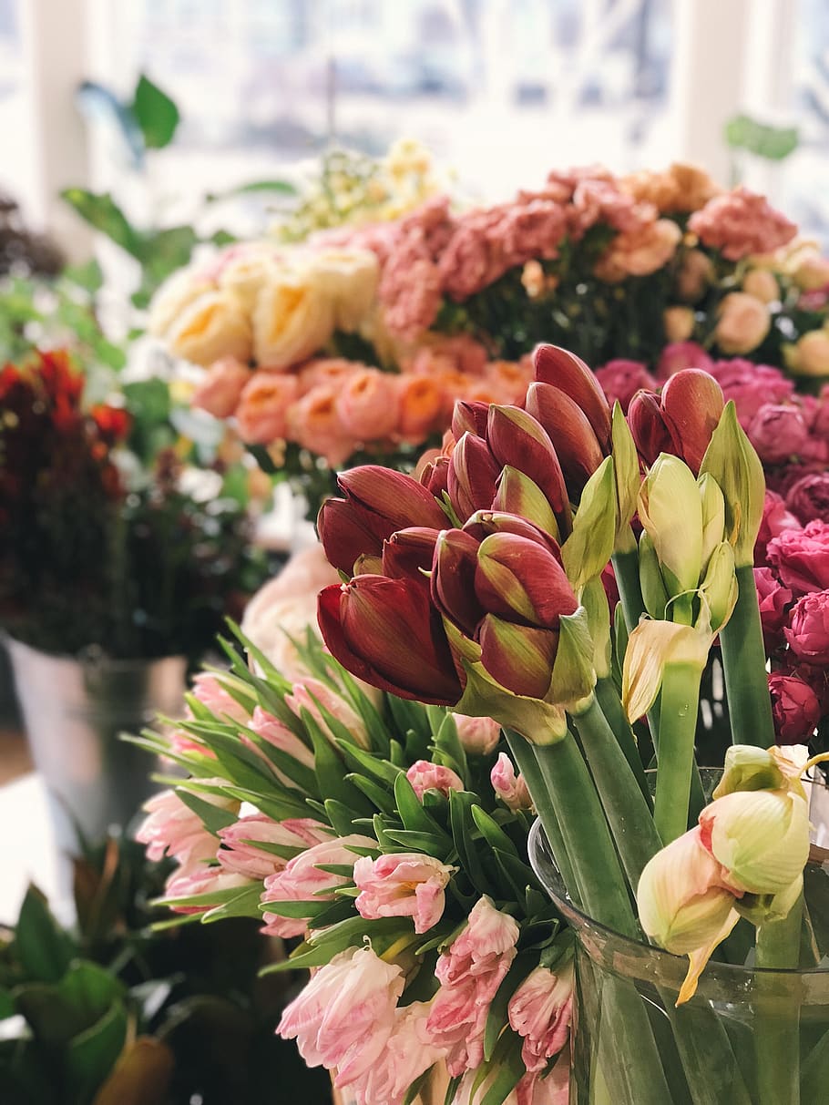 Selective Focus Photography of Pink and Red Flowers, arrangement HD wallpaper
