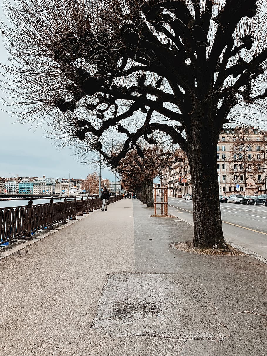 human, person, path, tarmac, asphalt, railing, walkway, pavement HD wallpaper