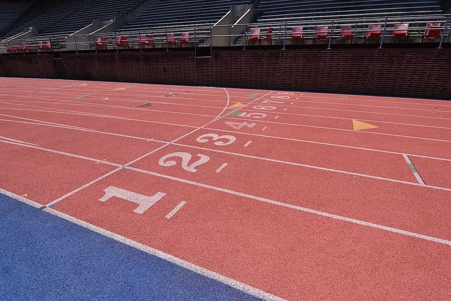 track & field, sport, track and field, running track, stadium HD wallpaper