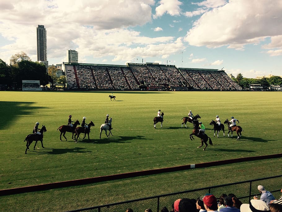buenos aires, argentina, horse riding, game, polo, sports, match, HD wallpaper