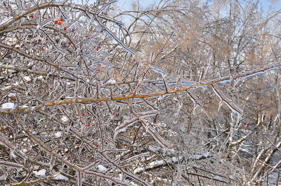 winter, ice, będzin, cold, snow, frost, frozen, landscape HD wallpaper