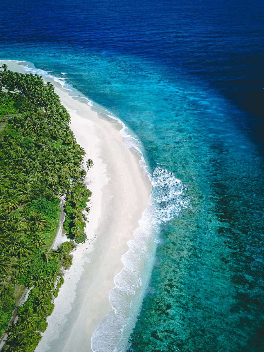 beach and ocean during day, land, outdoors, nature, sea, water HD wallpaper