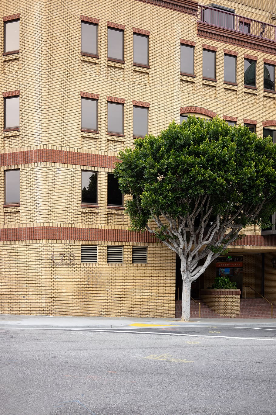 green tree beside building, architecture, built structure, building exterior HD wallpaper