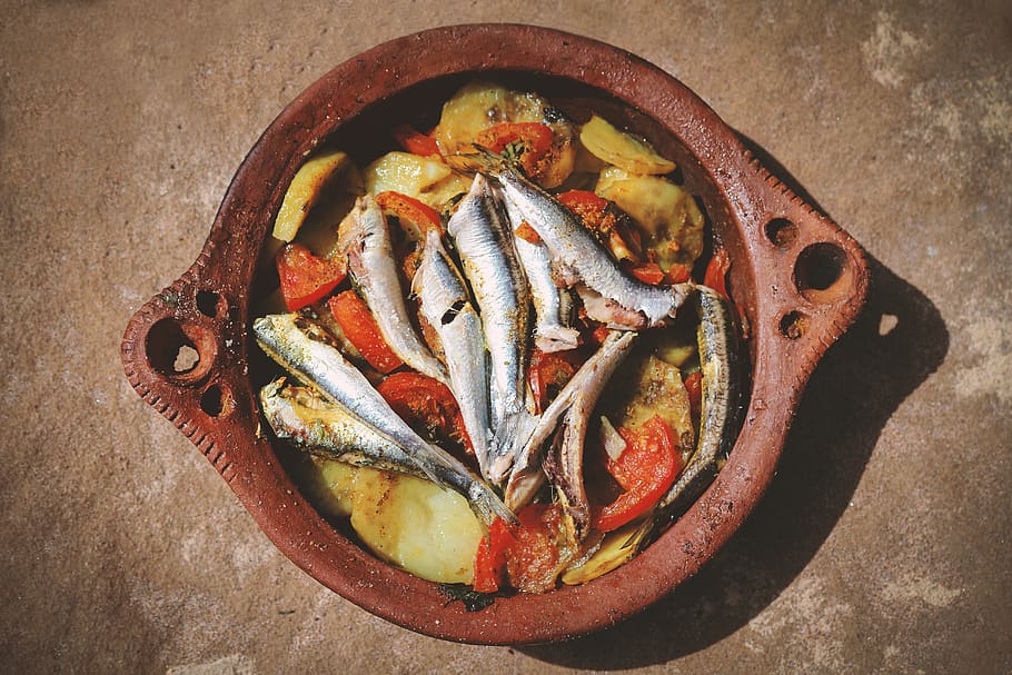 morocco, asilah, chemin rmilat (pietons vélos, fish, colors, HD wallpaper