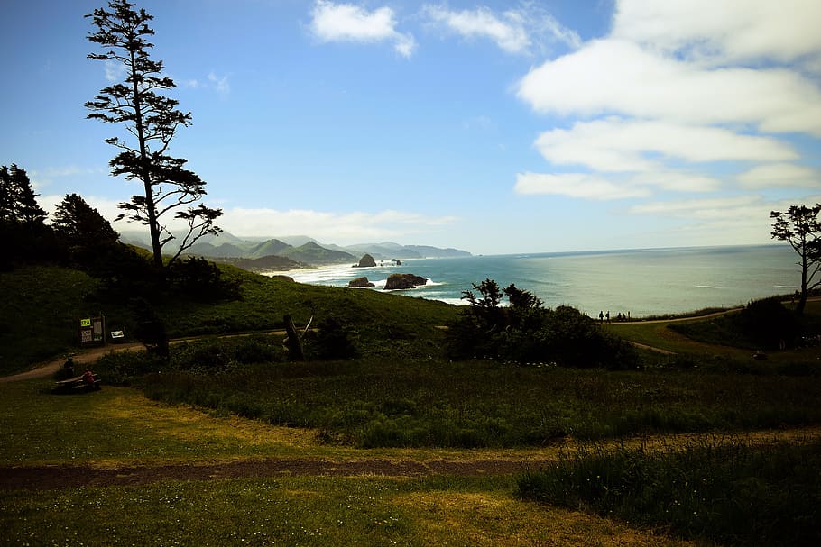 beach, ocean, path, steep, water, mountain, sky, plant, cloud - sky HD wallpaper