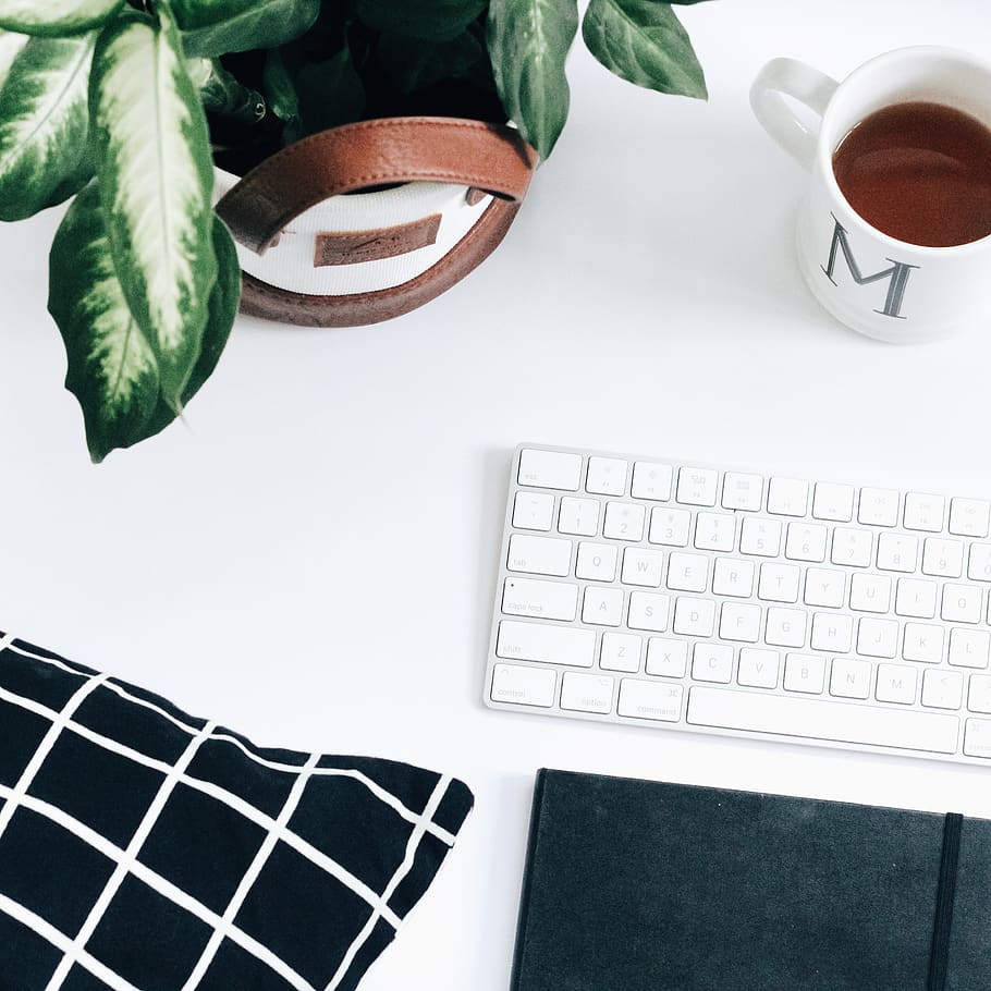 Apple Magic keyboard beside white ceramic mug, computer keyboard HD wallpaper