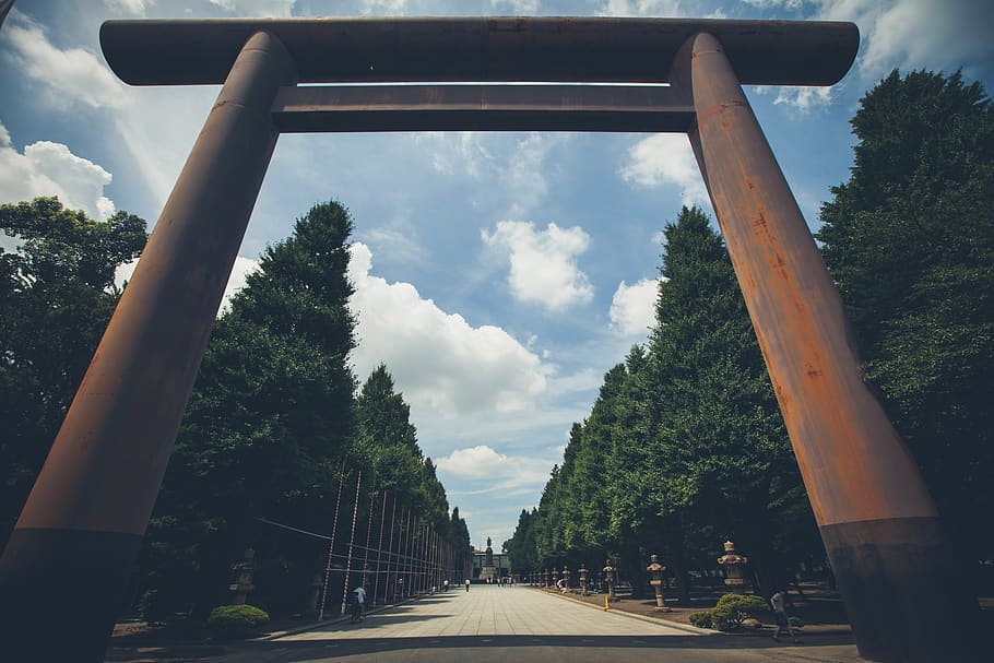 tree, plant, sky, the way forward, day, nature, transportation HD wallpaper