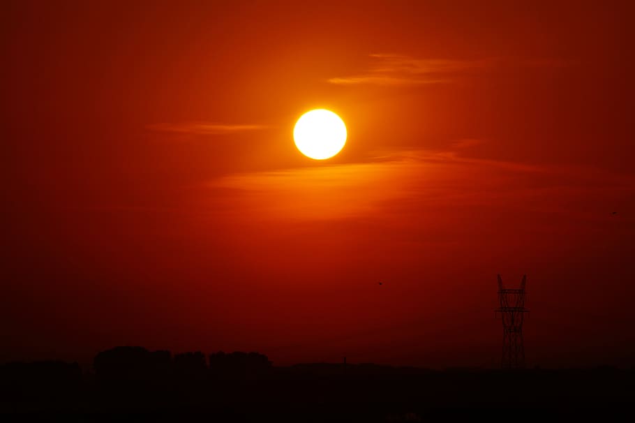 Silhouette of Utility Post during Golden Hour, backlit, bright HD wallpaper