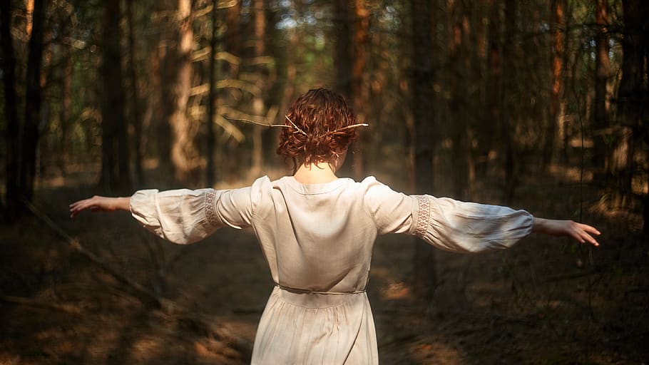 forest, human arm, tree, limb, land, arms outstretched, woodland HD wallpaper