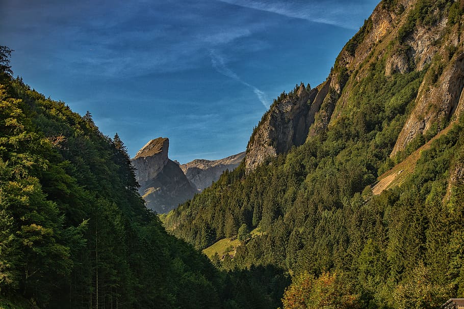 mountain, forest, hill, hillside, travelling, walk, nature HD wallpaper