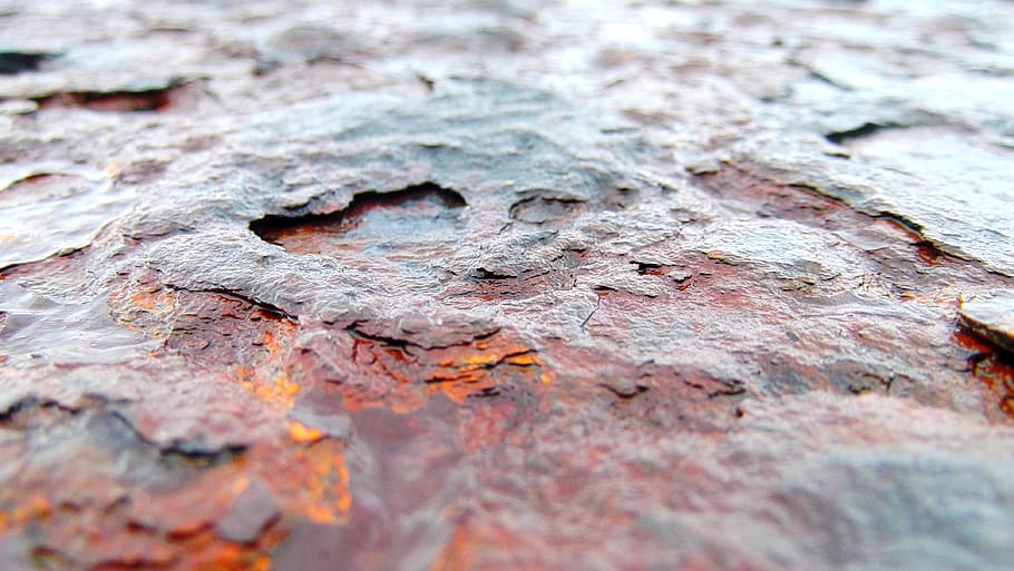 oxidation, rust, metal, textured, full frame, close-up, tree trunk HD wallpaper