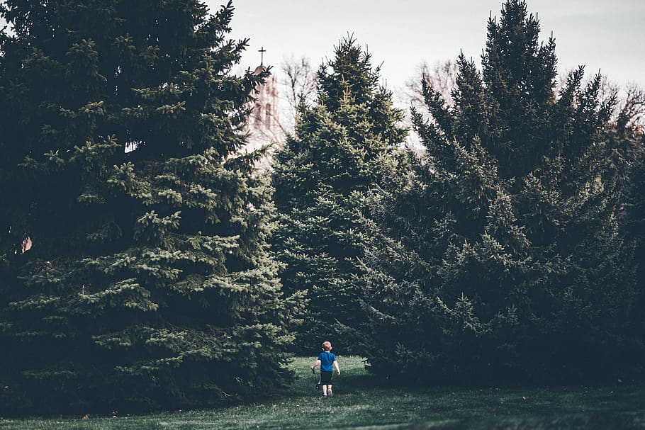 toddler walking towards green tree, united states, boys town, HD wallpaper