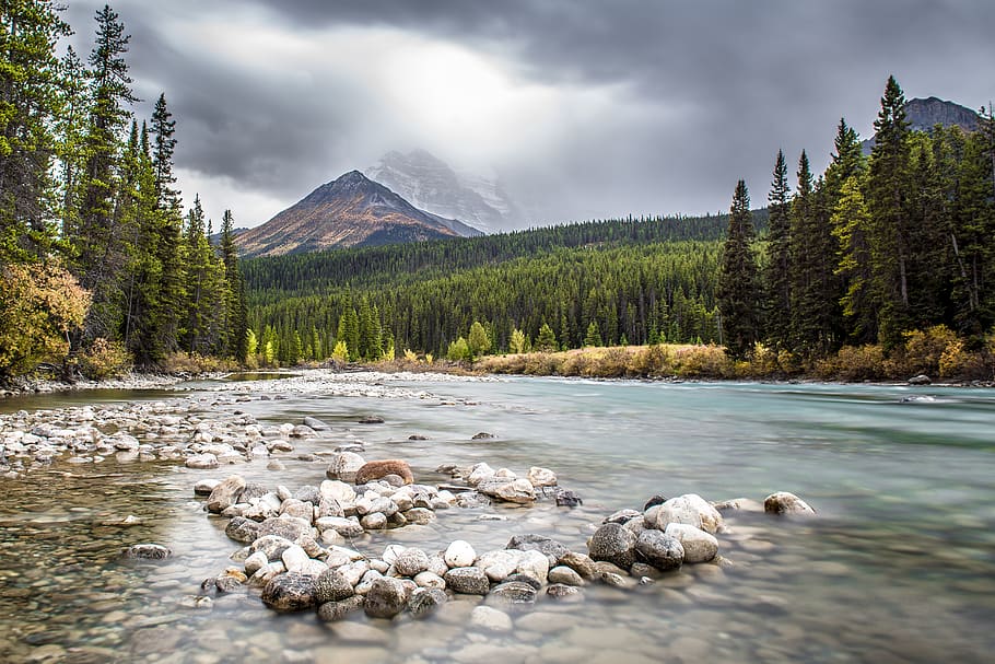 Landscape Photography of River Surrounded by Trees, Alberta, banff HD wallpaper