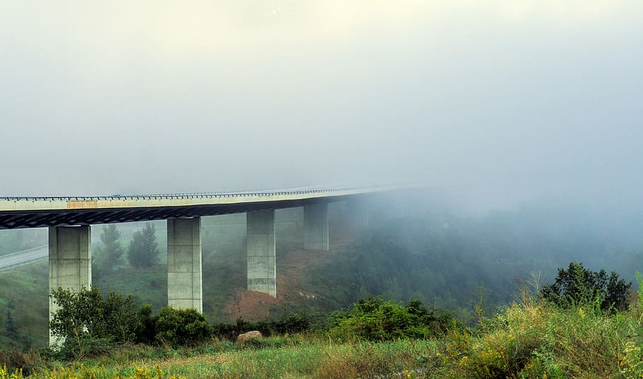 fog, time, atmosphere, atmospheric, visibility, highway, landscape HD wallpaper