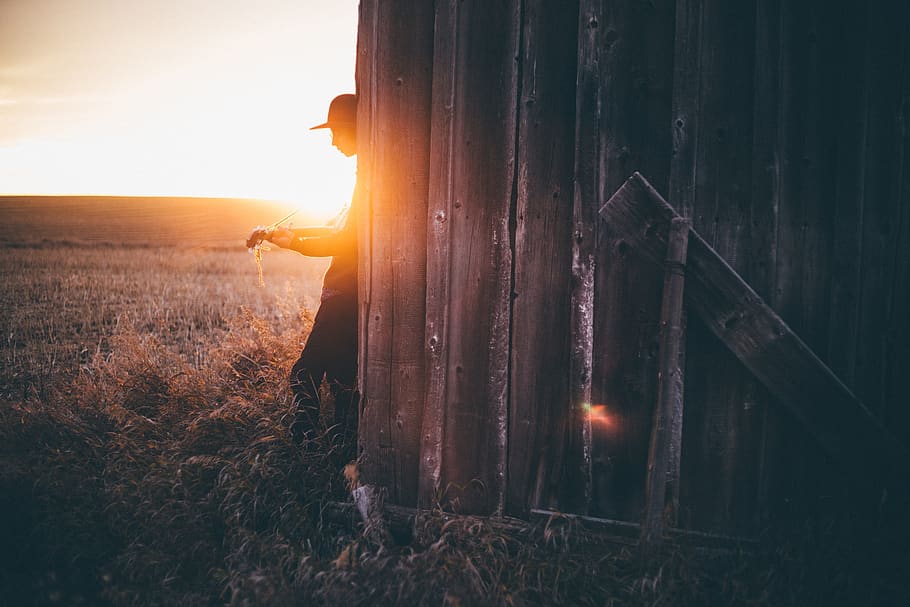 guy, man, sunset, wooden, grass, field, cap, guitar, instrument HD wallpaper