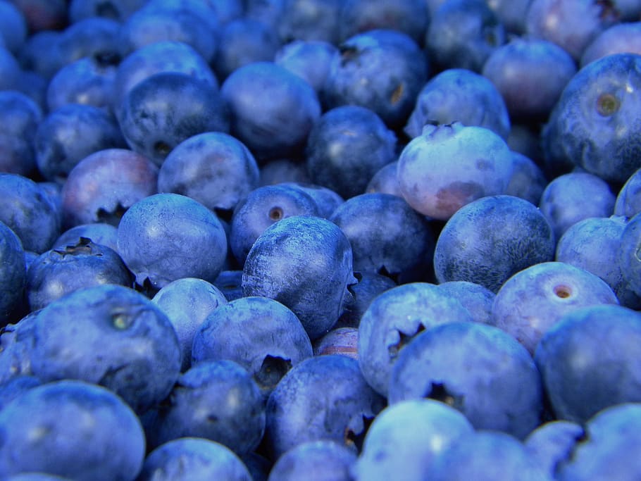 black berries lot, food and drink, healthy eating, fruit, wellbeing HD wallpaper