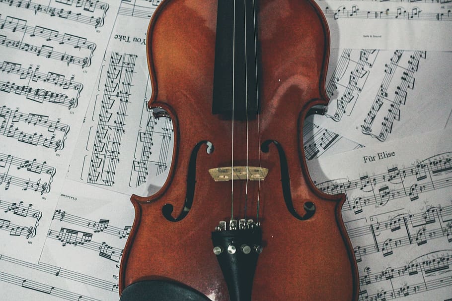 brazil, porto alegre, harmony, sheets, string, notes, violin HD wallpaper