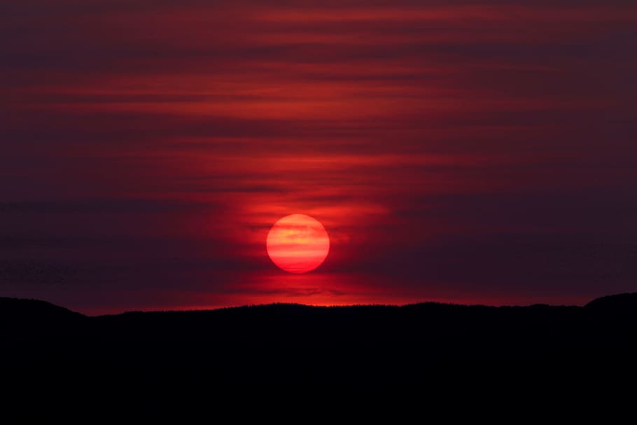 sunset, twilight, evening, sky, beauty in nature, silhouette HD wallpaper