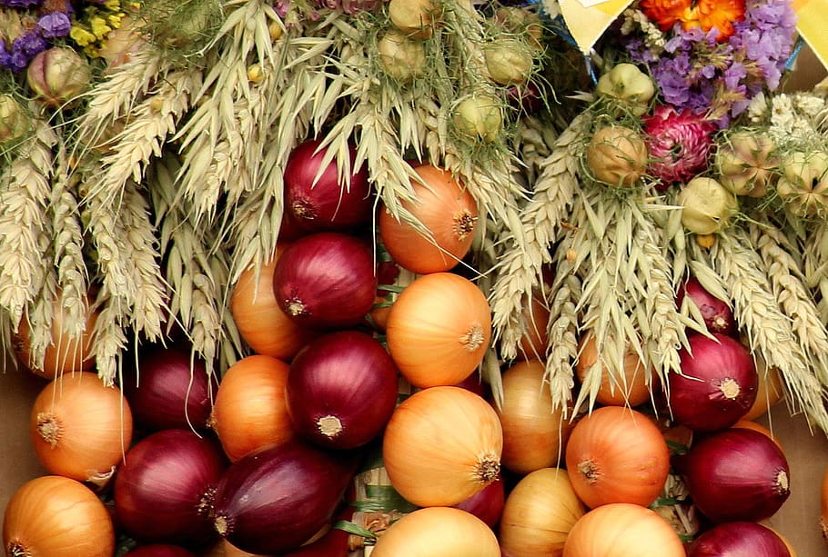 onion, vegetables, composition, decoration, red, food, vitamins HD wallpaper