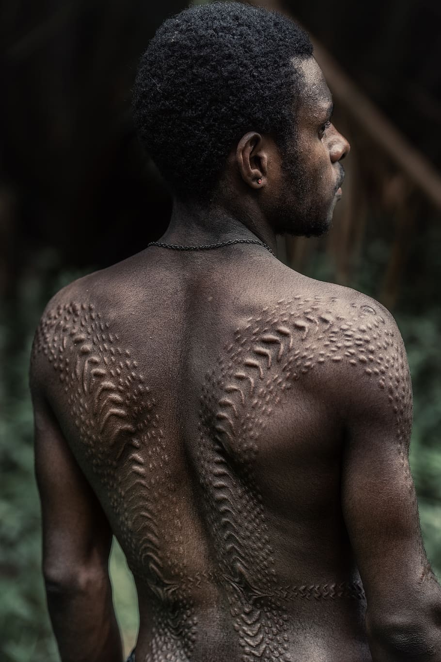man showing his back, waist up, one person, shirtless, young adult, HD wallpaper