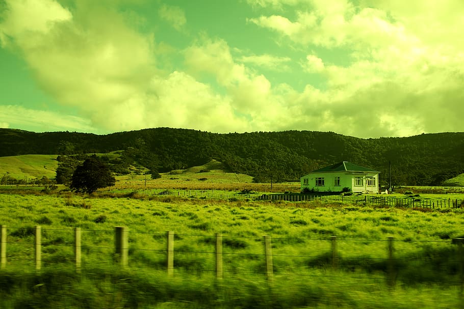 nature outdoors rural field