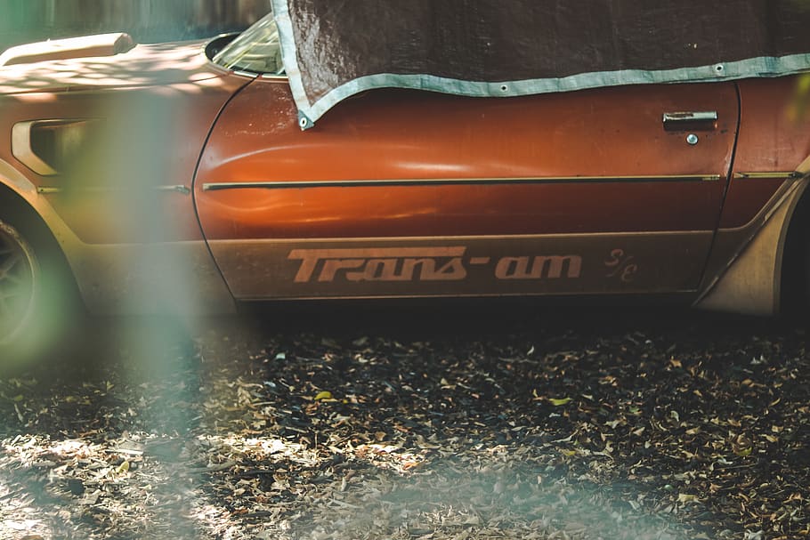 red car, automobile, vehicle, transportation, tire, machine, wheel HD wallpaper