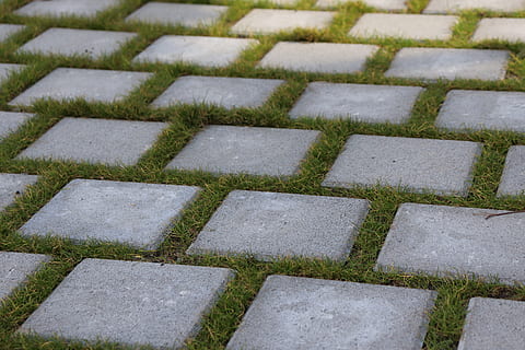 gray brick pavement, path, walkway, flagstone, moss, plant, slate HD wallpaper