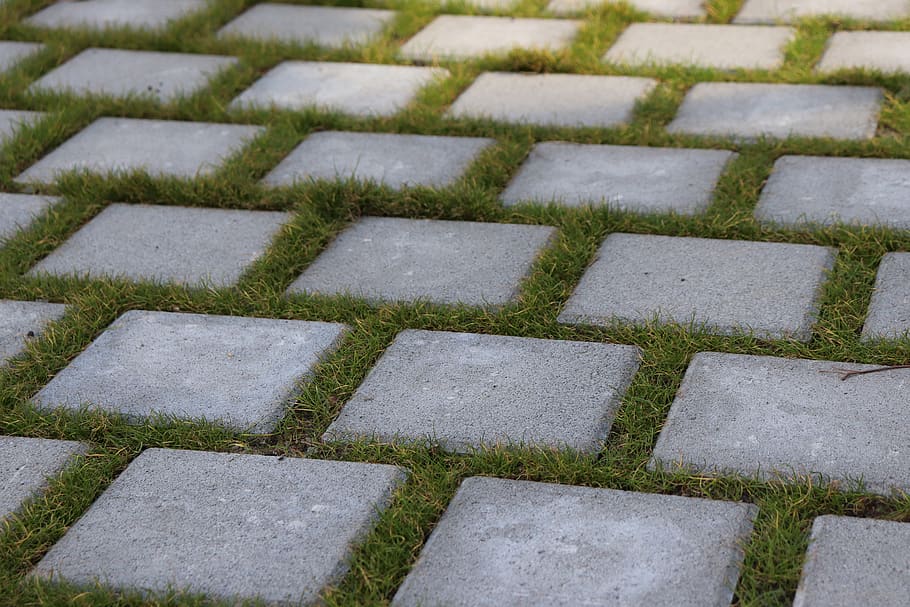 gray brick pavement, path, walkway, flagstone, moss, plant, slate HD wallpaper