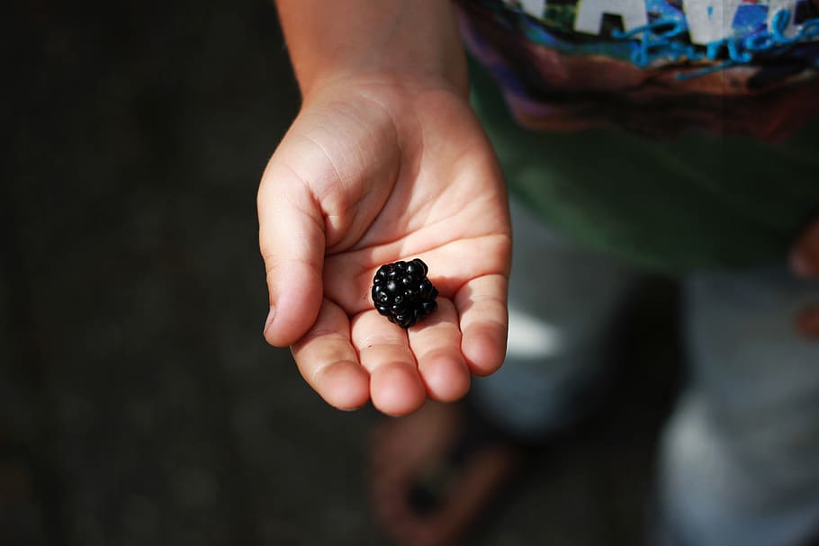 black raspberry fruit, finger, person, human, hand, accessory HD wallpaper