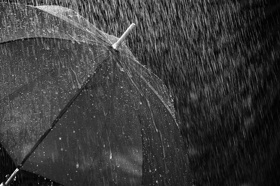 rain, umbrella, screen, protection, water, wet, drip, raindrop HD wallpaper