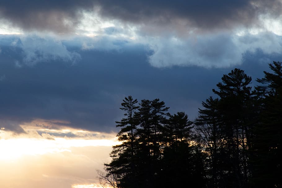 Silhouette of Trees in Front of Cloudy Sky, clouds, dark, dawn HD wallpaper