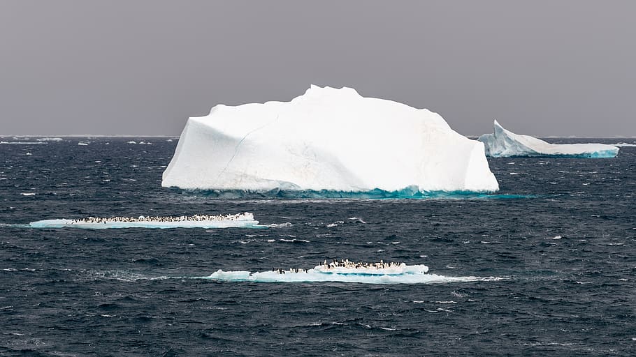 glaciers during daytime, nature, outdoors, ice, iceberg, snow HD wallpaper