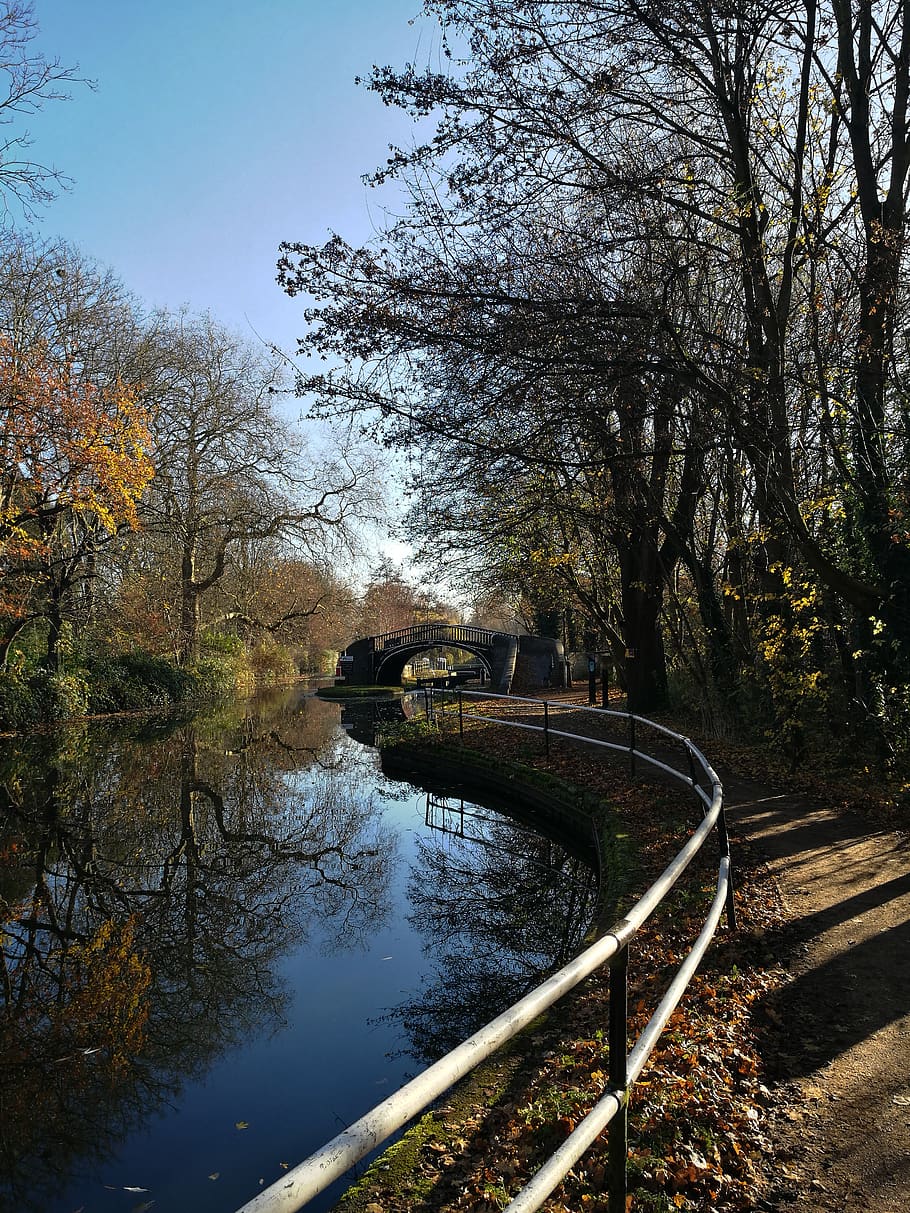 united kingdom, oxford, canal, fall, trees, oxfordshire, english countryside