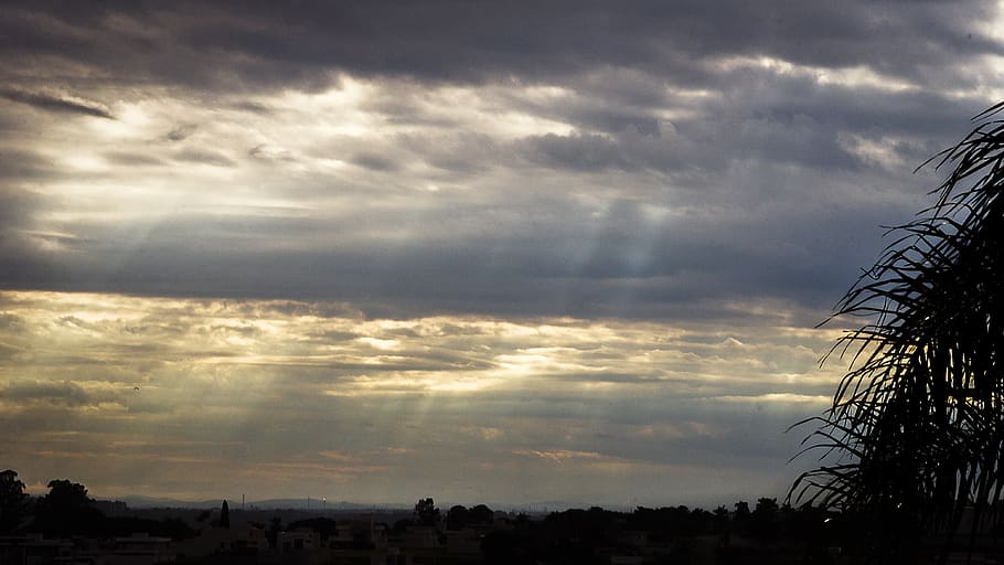 rain, clounds, cloundy, sky, sunlight, palm tree, cloud - sky HD wallpaper