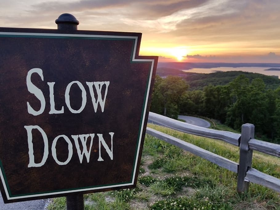 view, sign, slow down, sunset, lake, forest, trees, fence, text HD wallpaper