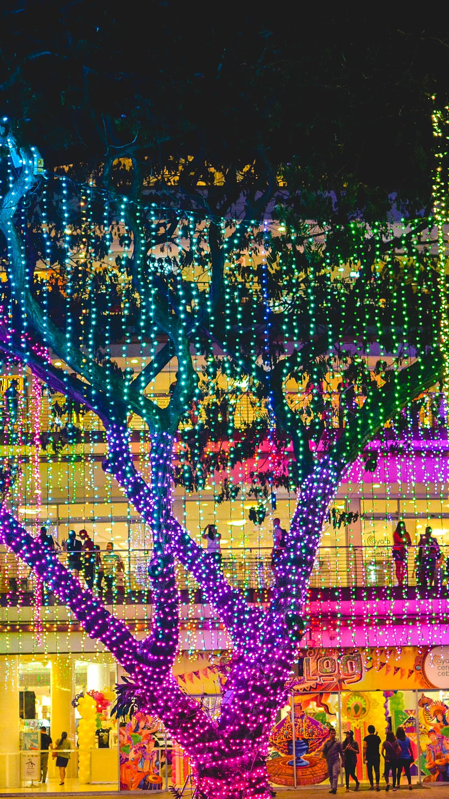 trees, light, multi colored, illuminated, built structure, crowd HD wallpaper