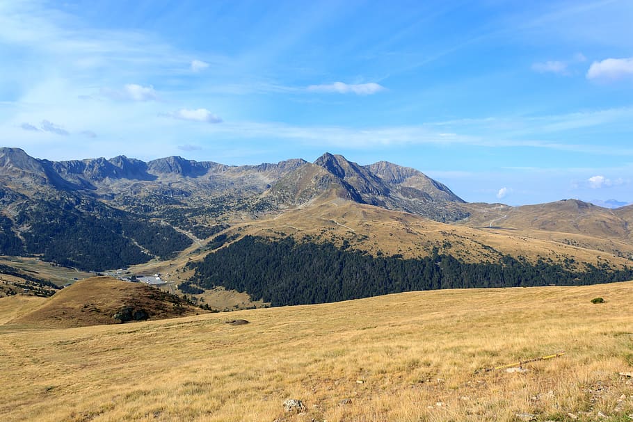 andorra, mountain range, trees, forest, grass, yellow, dry HD wallpaper