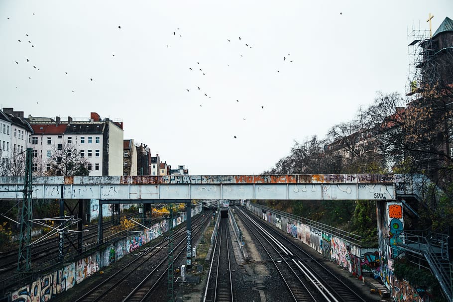 Graffiti walls near a train subway bridge and tracks, architecture HD wallpaper