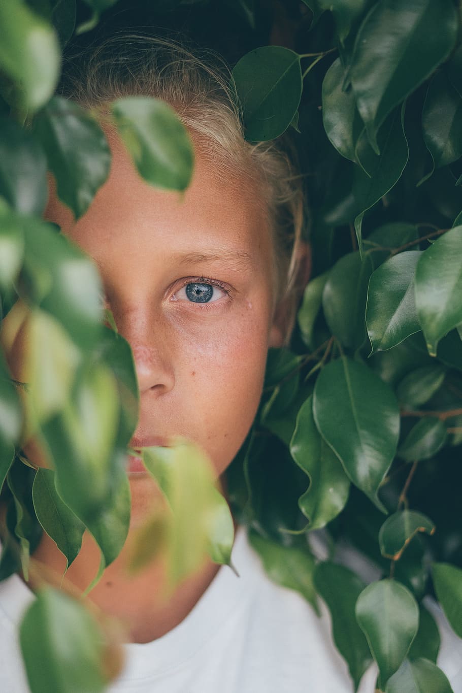 girl beside plant, child, forest, hiding, kid, eye, boy, tree HD wallpaper
