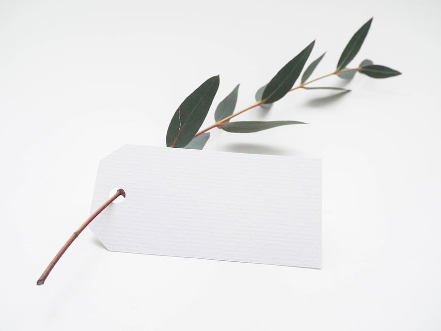 white, tag, green, leaf, nature, white background, studio shot HD wallpaper