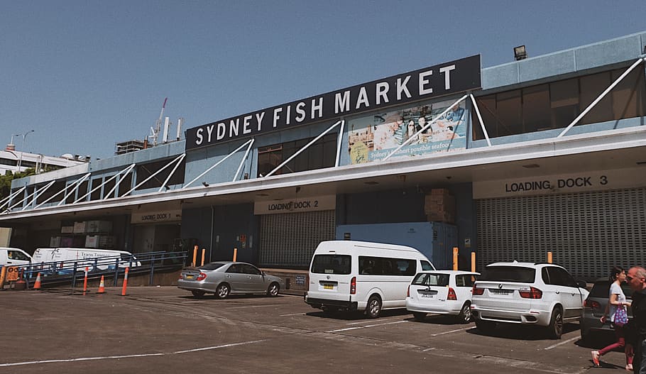 HD wallpaper: australia, sydney, sydney fish market, seafood, buy, building  | Wallpaper Flare