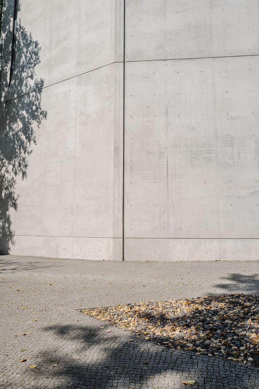 white concrete wall, tree, achitecture, berlin, shade, shadow HD wallpaper