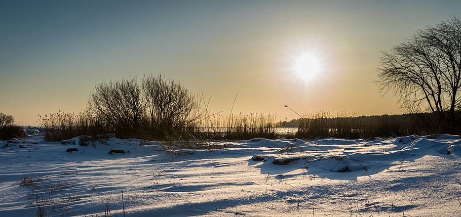 sun, evening, snow, winter, trees, cold temperature, sky, beauty in nature HD wallpaper