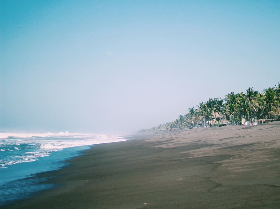 guatemala, trees, ocean, beach, land, sea, water, sky, plant HD wallpaper