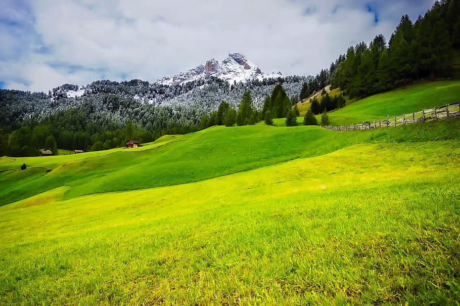 mountains, sky, clouds, meadow, field, forest, trees, woods HD wallpaper