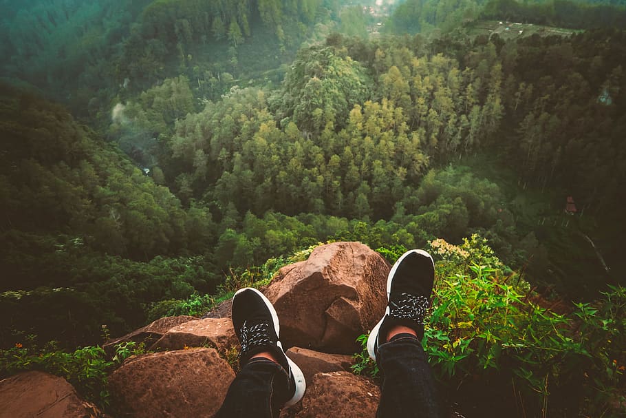explore, create, youth, yolo, mountain, forest, trees, green HD wallpaper