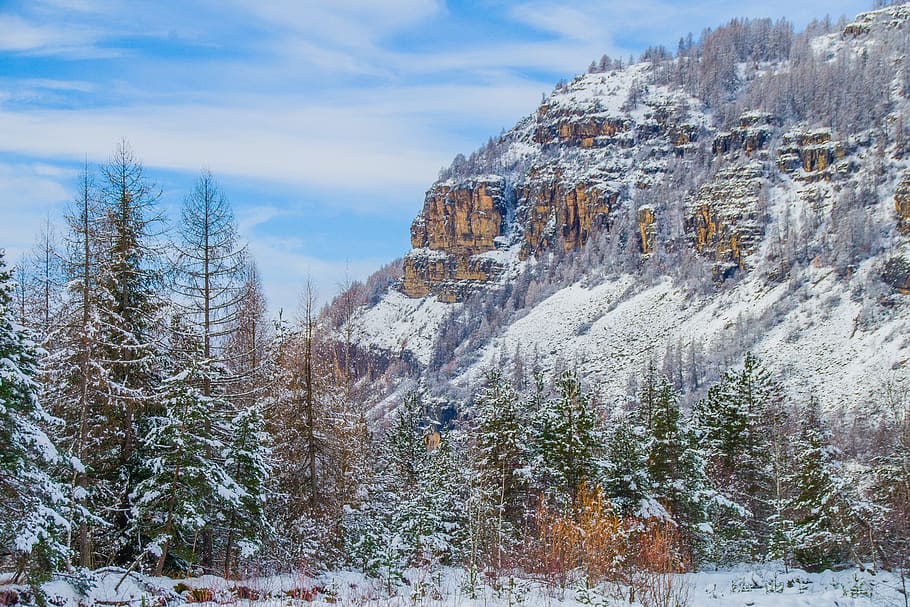 snow, winter, nature, cold, mountain, wood, frost, season, landscape HD wallpaper