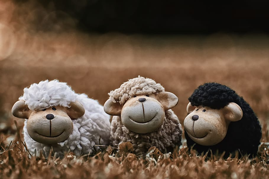 sheep, animals, deco, flock of sheep, ceramic, toy, stuffed toy