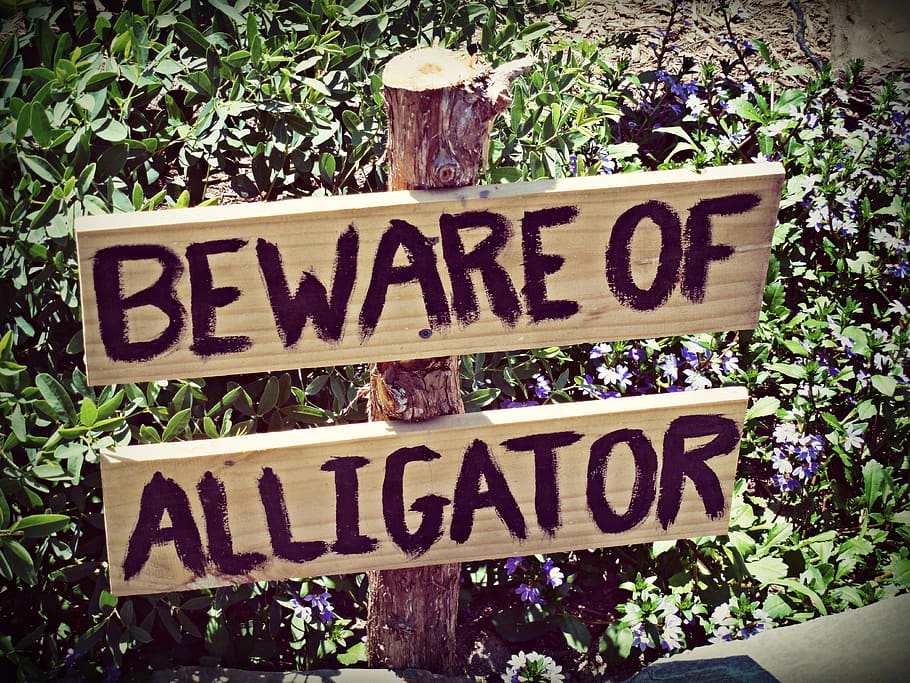 united states, greenwood, wooden, words, beware, alligator