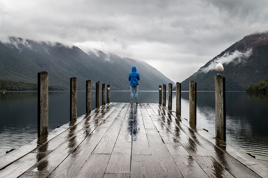 Person Standing on Brown Wooden Dock, animal, clouds, cloudy